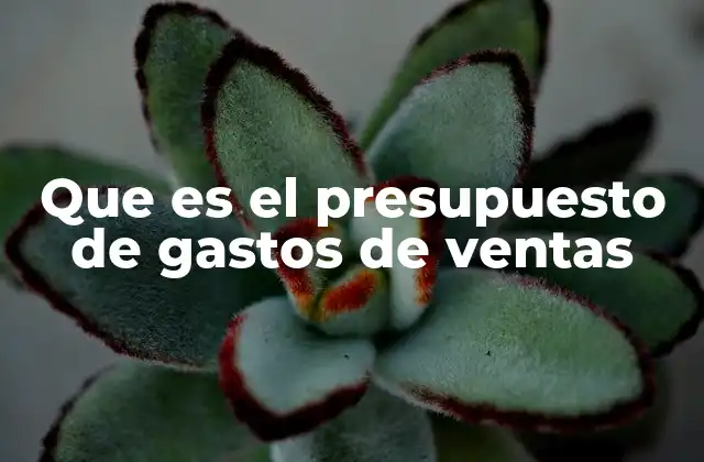 Que es el Presupuesto de Gastos de Ventas