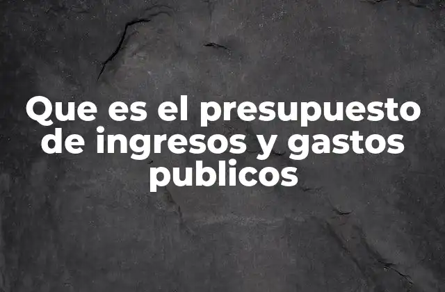 Que es el Presupuesto de Ingresos y Gastos Publicos