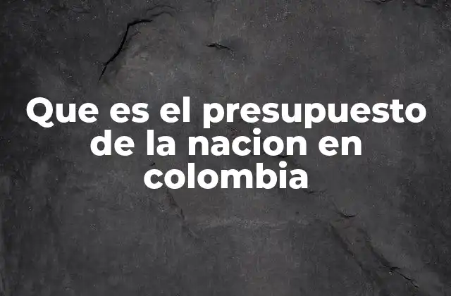 Que es el Presupuesto de la Nacion en Colombia