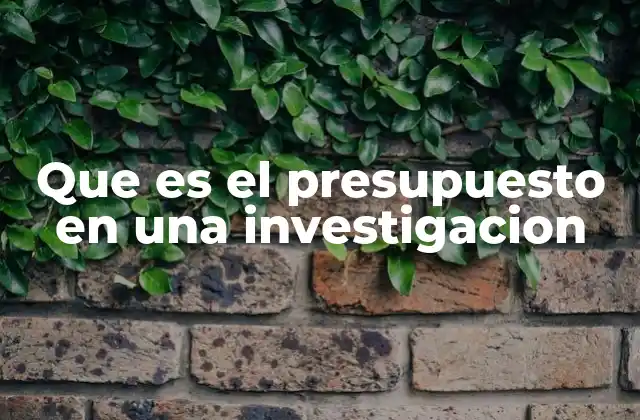 Que es el Presupuesto en una Investigacion