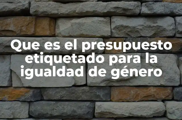 Que es el Presupuesto Etiquetado para la Igualdad de Género