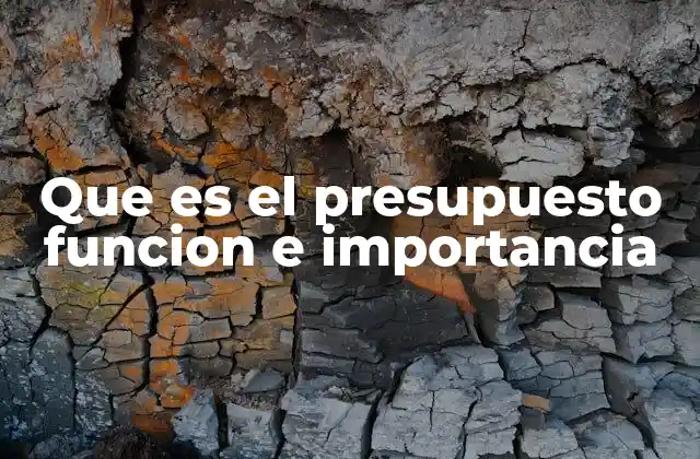 El presupuesto funcional y su relación con la gestión estratégica