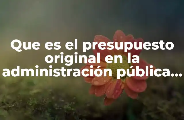 Que es el Presupuesto Original en la Administración Pública Federal