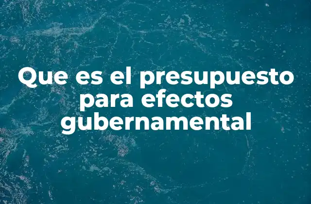 Que es el Presupuesto para Efectos Gubernamental