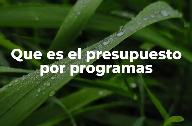 Que es el Presupuesto por Programas
