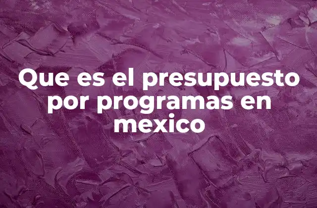 Que es el Presupuesto por Programas en Mexico
