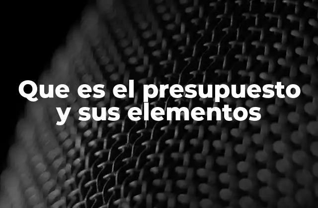 Que es el Presupuesto y Sus Elementos