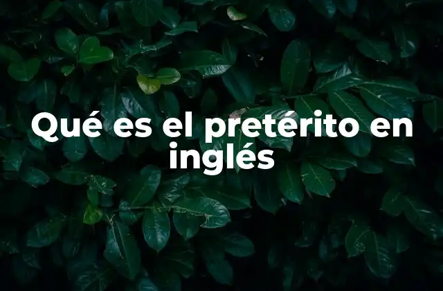 Qué es el Pretérito en Inglés