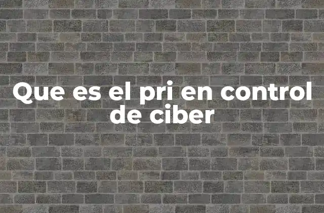 Que es el Pri en Control de Ciber