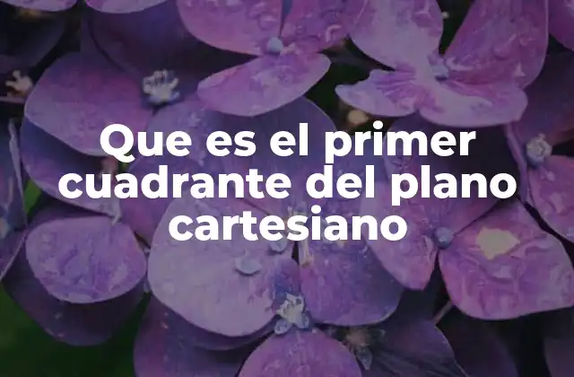 Que es el Primer Cuadrante Del Plano Cartesiano