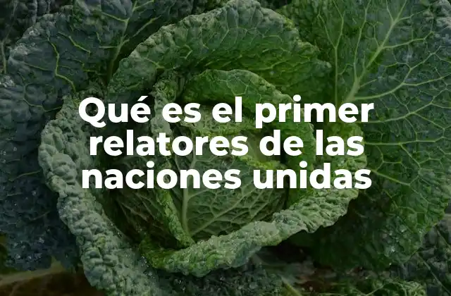 Qué es el Primer Relatores de las Naciones Unidas