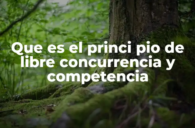 Que es el Princi Pio de Libre Concurrencia y Competencia