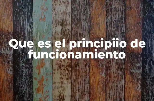 Que es el Principiio de Funcionamiento