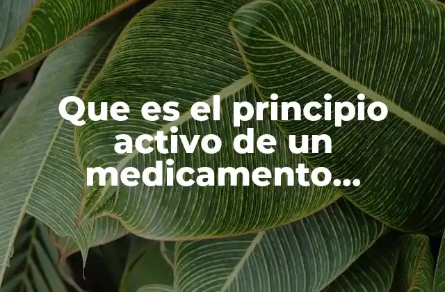 Que es el Principio Activo de un Medicamento Universidad