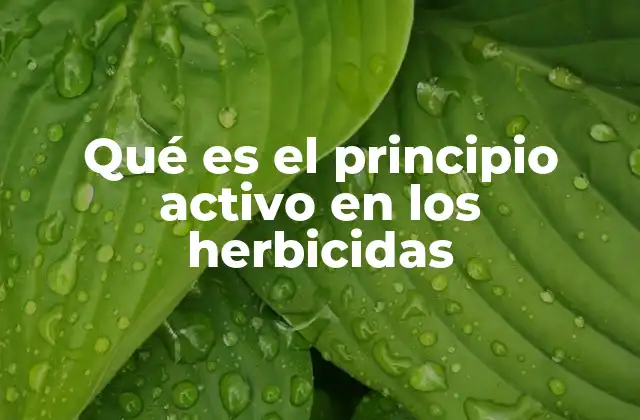 La importancia del principio activo en la formulación de herbicidas