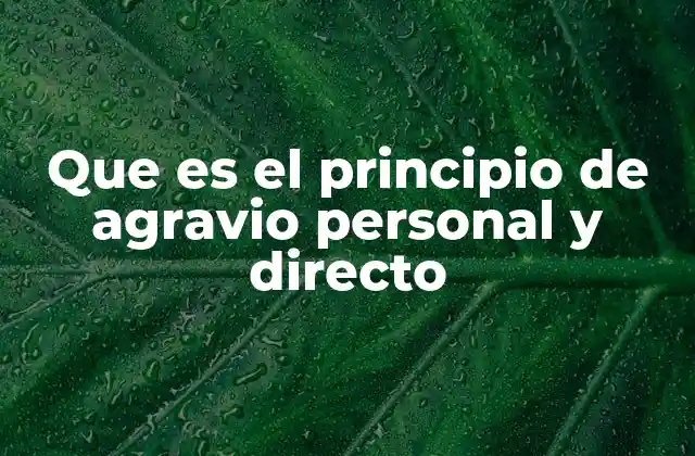 Que es el Principio de Agravio Personal y Directo