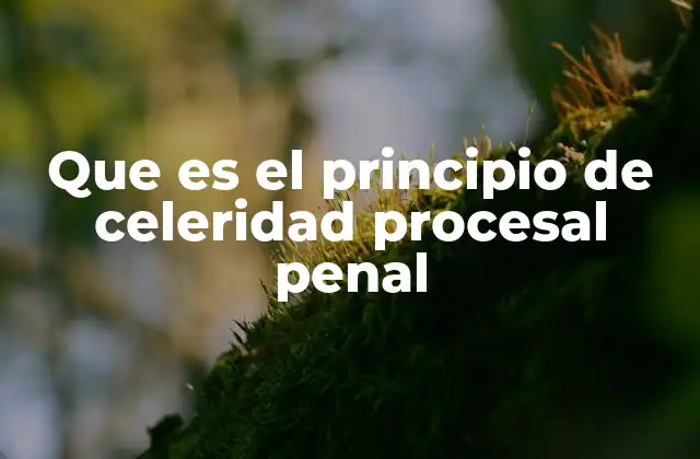 Que es el Principio de Celeridad Procesal Penal 2 La importancia de la celeridad en el sistema penal