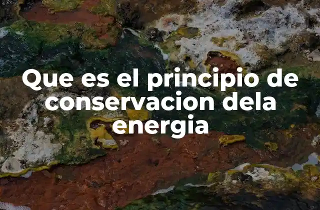 Que es el Principio de Conservacion Dela Energia