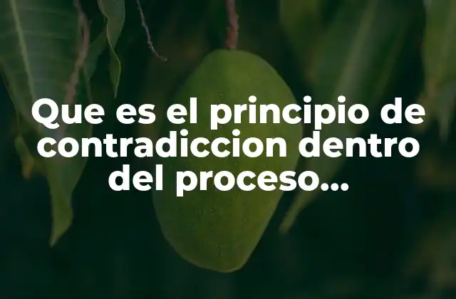 Que es el Principio de Contradiccion Dentro Del Proceso Administrativo