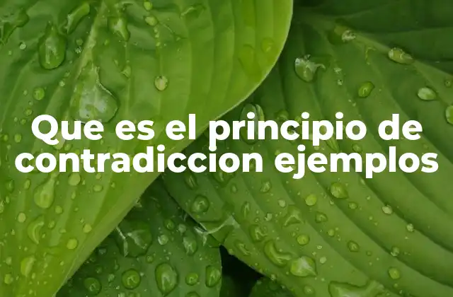 Que es el Principio de Contradiccion Ejemplos