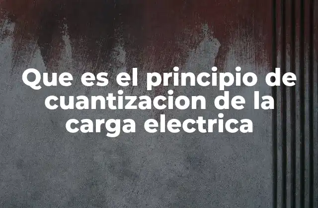 Que es el Principio de Cuantizacion de la Carga Electrica