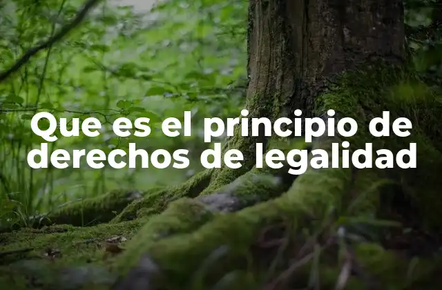 Que es el Principio de Derechos de Legalidad