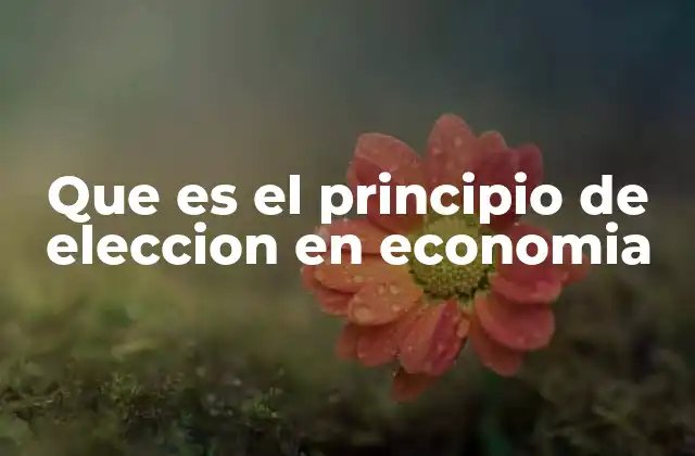 Que es el Principio de Eleccion en Economia