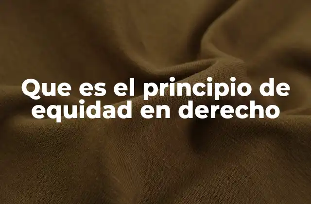Que es el Principio de Equidad en Derecho