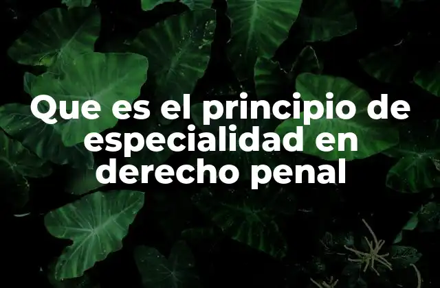 Que es el Principio de Especialidad en Derecho Penal