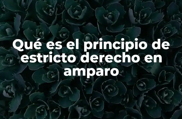 La importancia del estricto derecho en la protección de derechos fundamentales