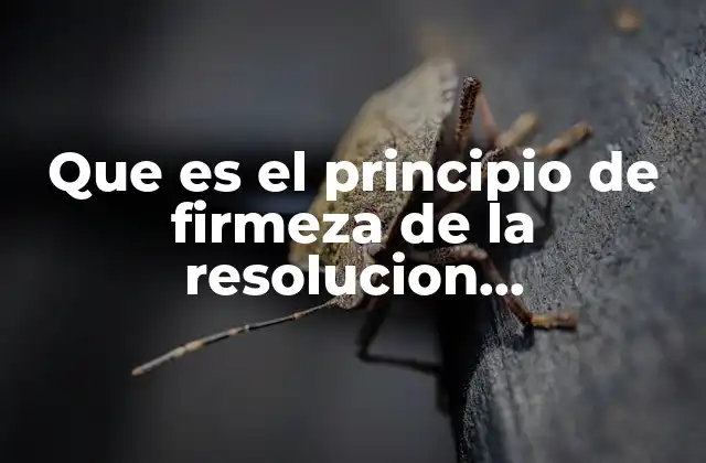 Que es el Principio de Firmeza de la Resolucion Administrativa