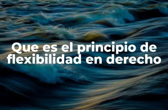 Que es el Principio de Flexibilidad en Derecho