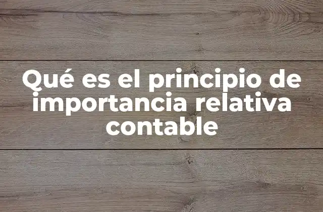 Qué es el Principio de Importancia Relativa Contable 2 La relevancia de la información en la contabilidad moderna