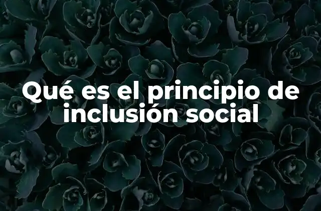 Qué es el Principio de Inclusión Social