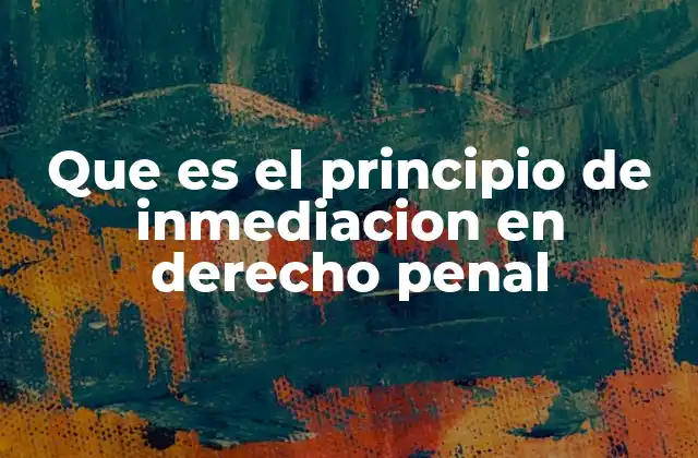 Que es el Principio de Inmediacion en Derecho Penal
