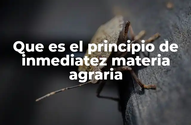 Que es el Principio de Inmediatez Materia Agraria