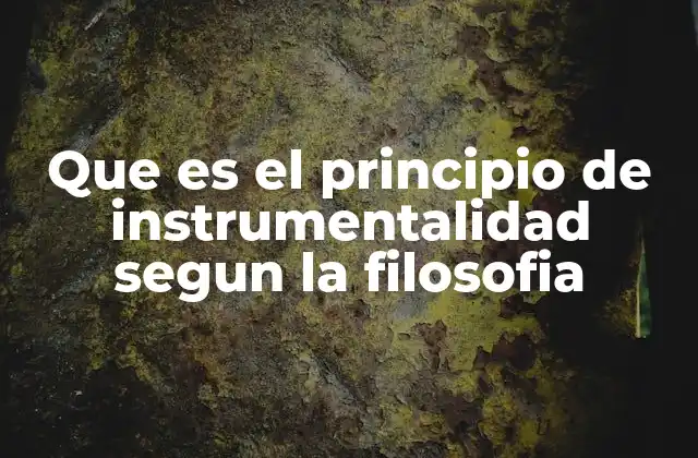 Que es el Principio de Instrumentalidad Segun la Filosofia