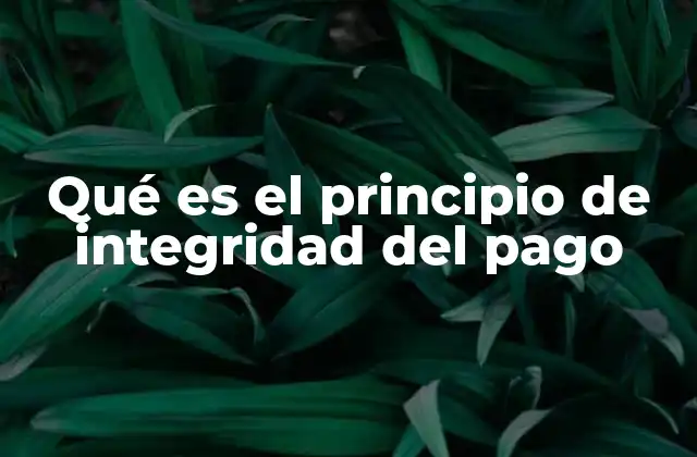 Qué es el Principio de Integridad Del Pago