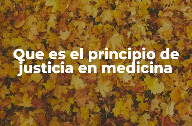 Que es el Principio de Justicia en Medicina