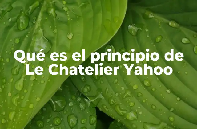 Qué es el Principio de Le Chatelier Yahoo