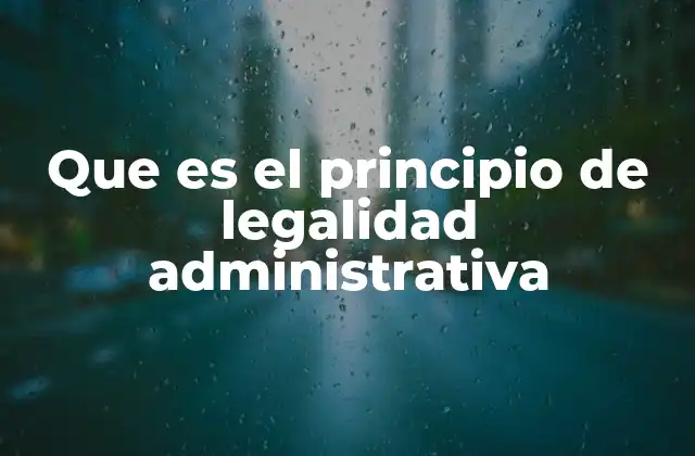 El fundamento del control de legalidad en la actuación estatal