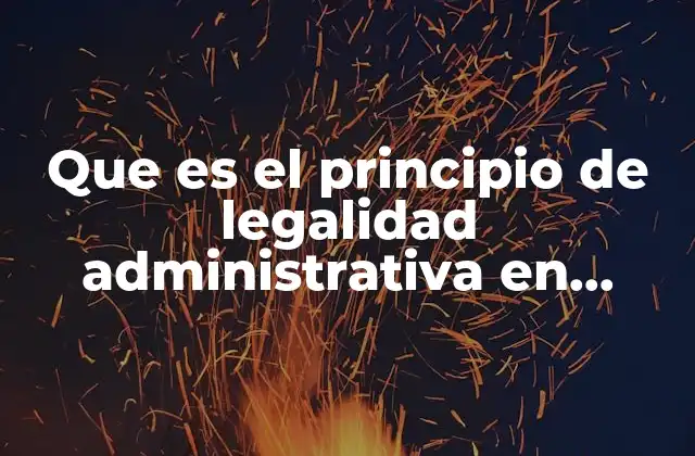 La importancia del control jurídico en la actuación del Estado