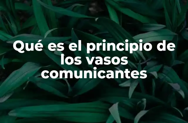 Qué es el Principio de los Vasos Comunicantes