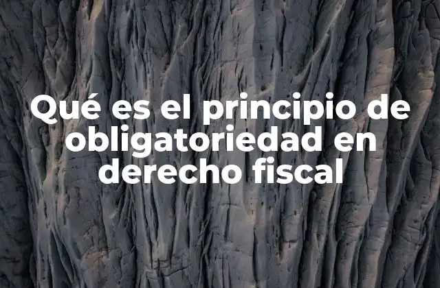 Qué es el Principio de Obligatoriedad en Derecho Fiscal