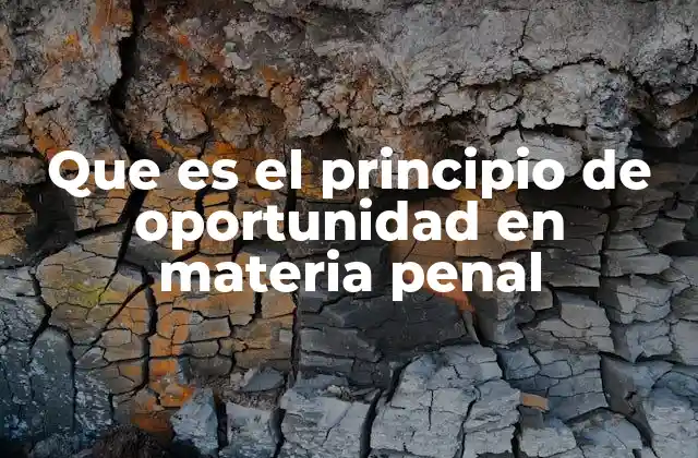Que es el Principio de Oportunidad en Materia Penal