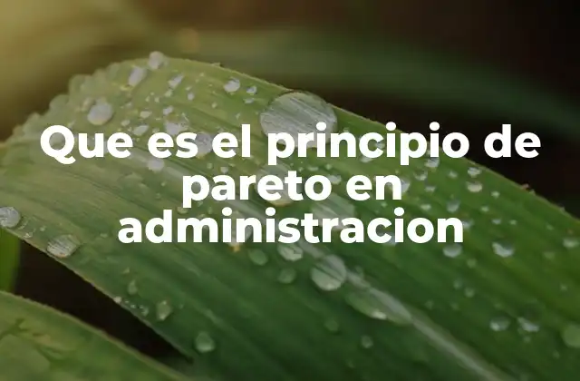 Que es el Principio de Pareto en Administracion