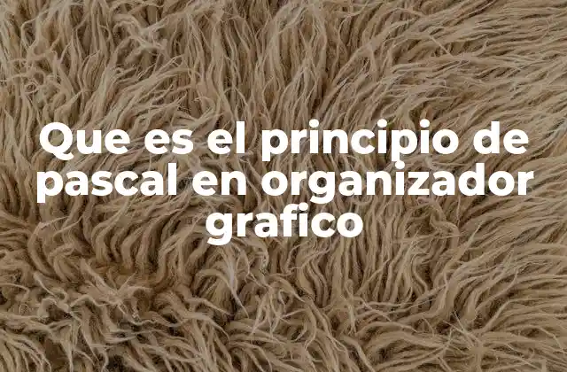 Que es el Principio de Pascal en Organizador Grafico