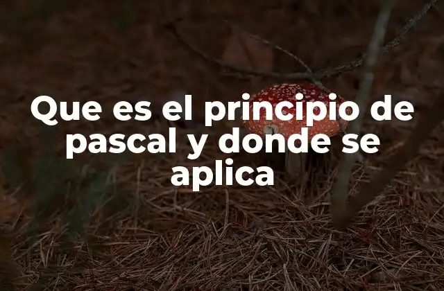 Que es el Principio de Pascal y Donde Se Aplica