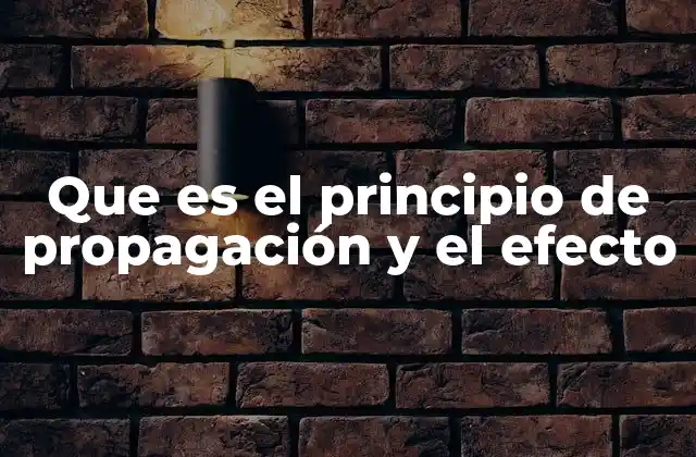 Que es el Principio de Propagación y el Efecto