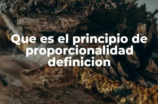 Que es el Principio de Proporcionalidad Definicion